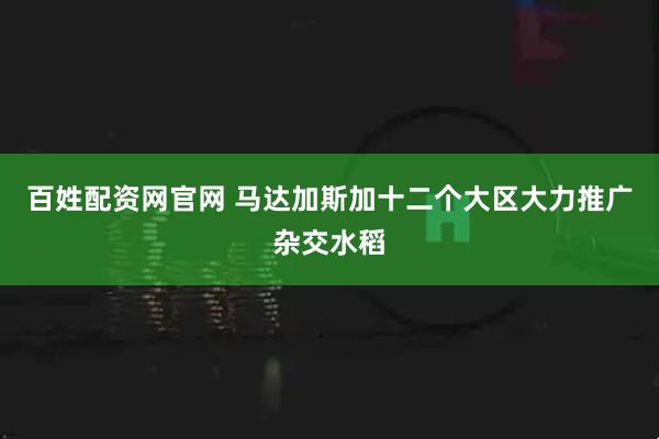 百姓配资网官网 马达加斯加十二个大区大力推广杂交水稻
