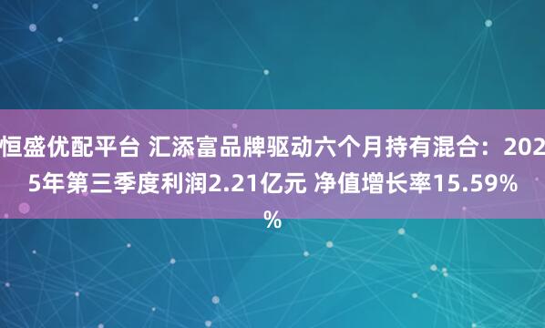 恒盛优配平台 汇添富品牌驱动六个月持有混合：2025年第三季度利润2.21亿元 净值增长率15.59%
