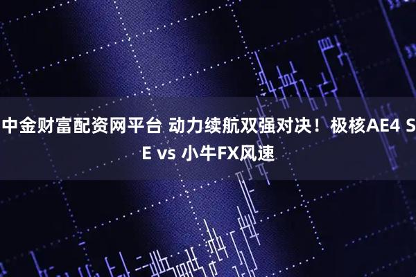 中金财富配资网平台 动力续航双强对决！极核AE4 SE vs 小牛FX风速