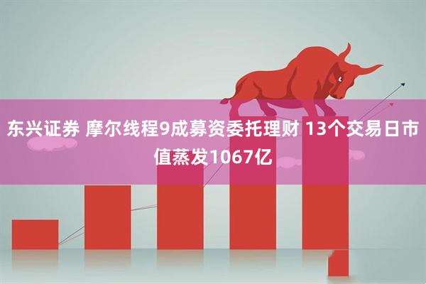 东兴证券 摩尔线程9成募资委托理财 13个交易日市值蒸发1067亿
