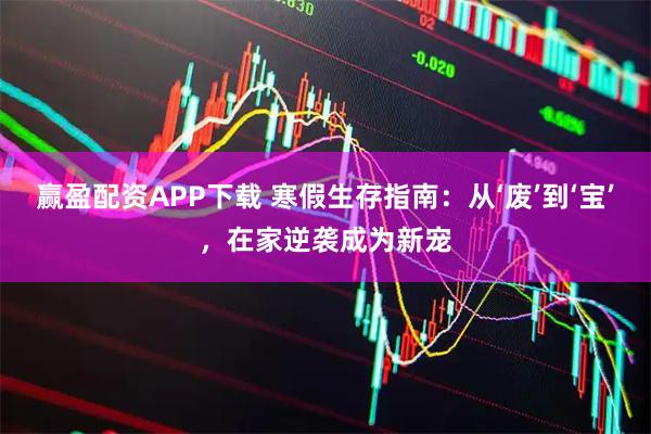 赢盈配资APP下载 寒假生存指南：从‘废’到‘宝’，在家逆袭成为新宠