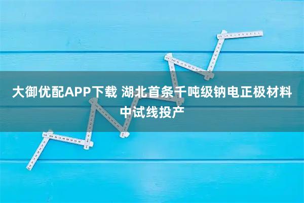 大御优配APP下载 湖北首条千吨级钠电正极材料中试线投产